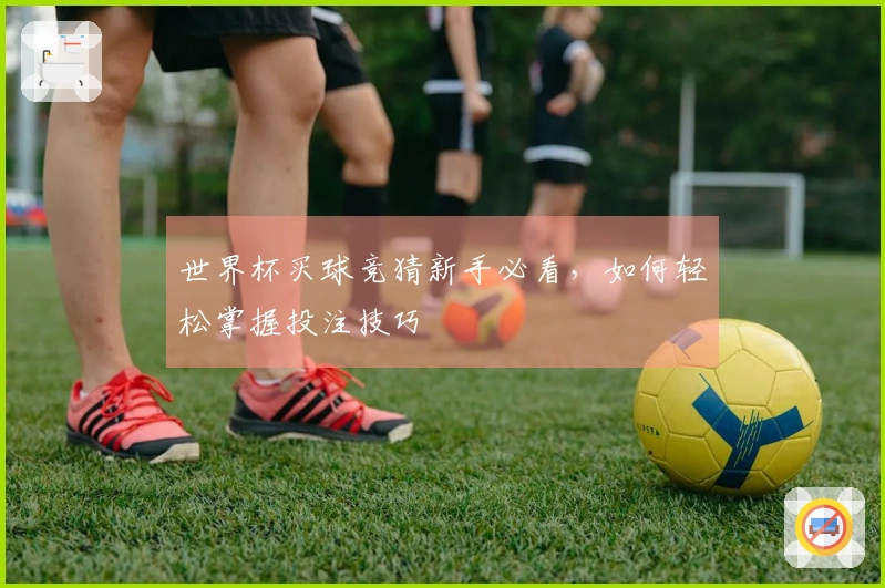 世界杯买球竞猜新手必看，如何轻松掌握投注技巧