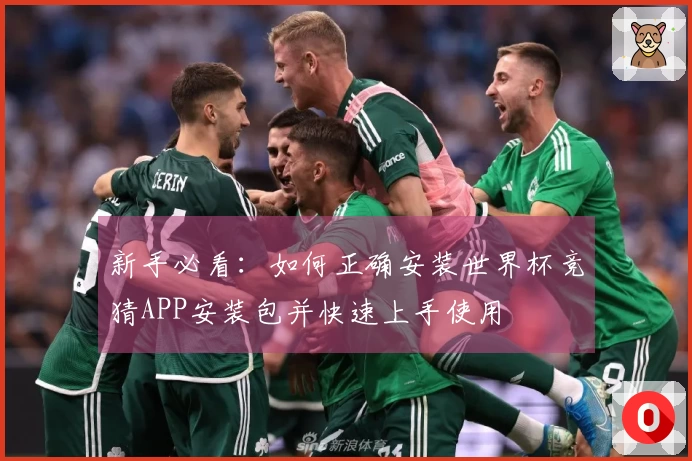 新手必看:如何正确安装世界杯竞猜APP安装包并快速上手使用