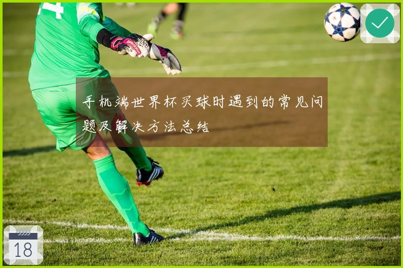 手机端世界杯买球时遇到的常见问题及解决方法总结