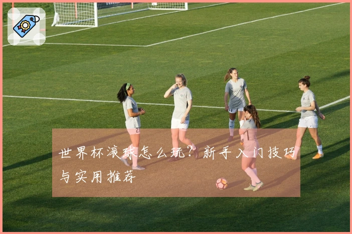 世界杯滚球怎么玩？新手入门技巧与实用推荐