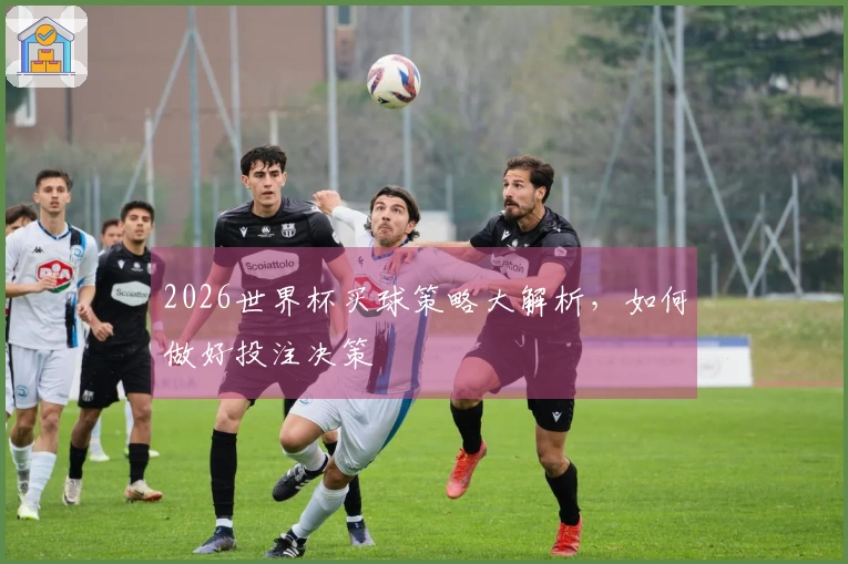 2026世界杯买球策略大解析,如何做好投注决策