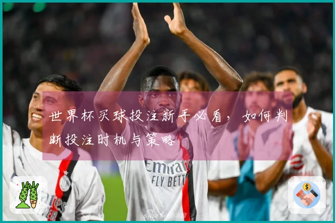 世界杯买球投注新手必看，如何判断投注时机与策略