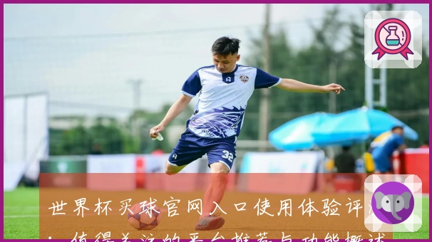 世界杯买球官网入口使用体验评测：值得关注的平台推荐与功能概述