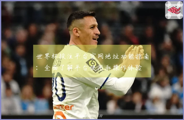世界杯投注平台官网地址功能指南：全面了解平台使用和操作体验