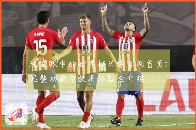 玩家眼中的世界杯买球官网首页：完整功能与使用体验全介绍