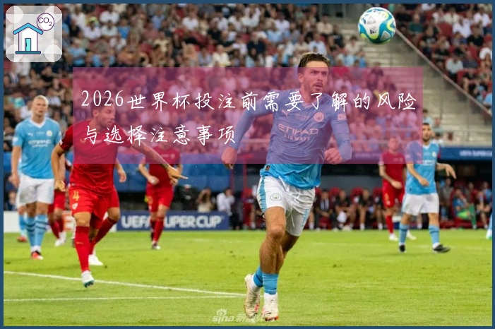 2026世界杯投注前需要了解的风险与选择注意事项