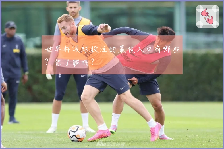 世界杯滚球投注的最佳入口有哪些？你了解吗？