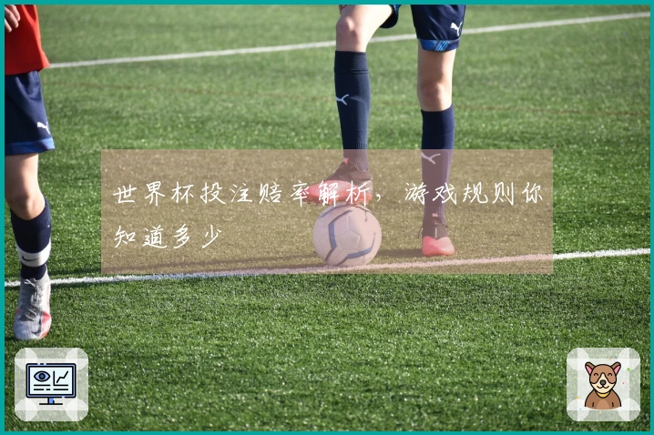 世界杯投注赔率解析，游戏规则你知道多少