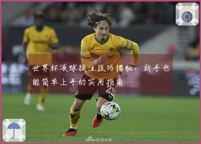 世界杯滚球投注技巧揭秘，新手也能简单上手的实用指南