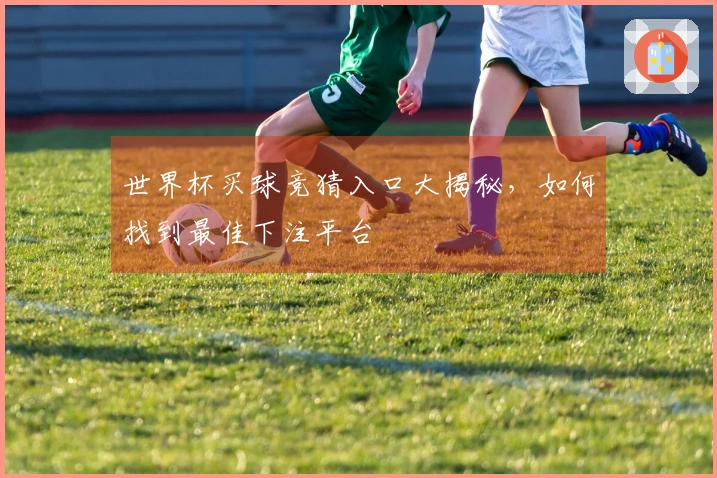 世界杯买球竞猜入口大揭秘，如何找到最佳下注平台