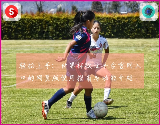 轻松上手:世界杯投注平台官网入口的网页版使用指南与功能介绍