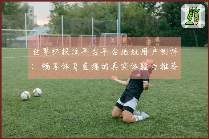 世界杯投注平台平台地址用户测评:畅享体育直播的真实体验与推荐指南