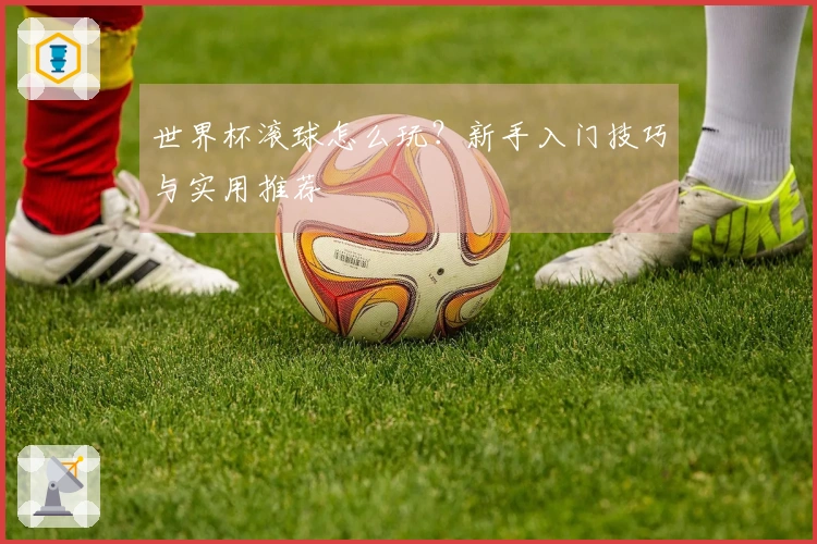 世界杯滚球怎么玩？新手入门技巧与实用推荐