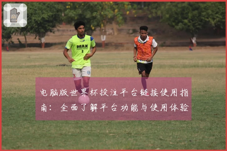 电脑版世界杯投注平台链接使用指南:全面了解平台功能与使用体验