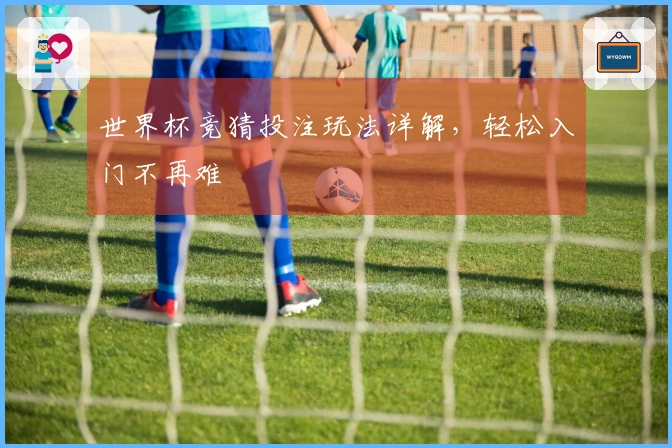 世界杯竞猜投注玩法详解，轻松入门不再难