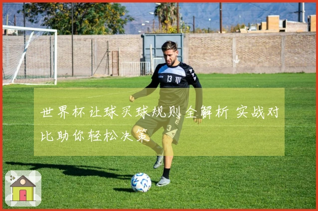 世界杯让球买球规则全解析 实战对比助你轻松决策