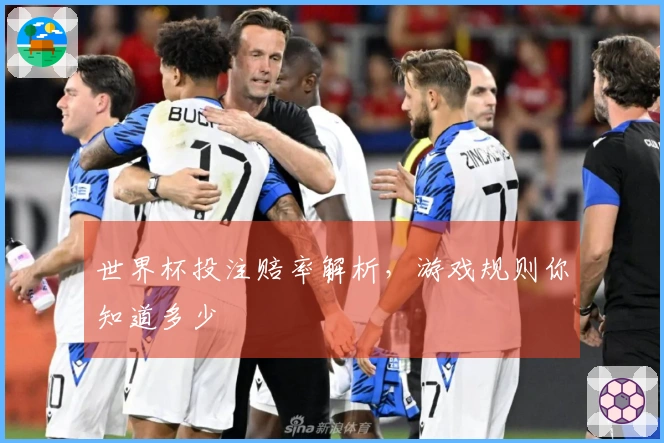 世界杯投注赔率解析，游戏规则你知道多少