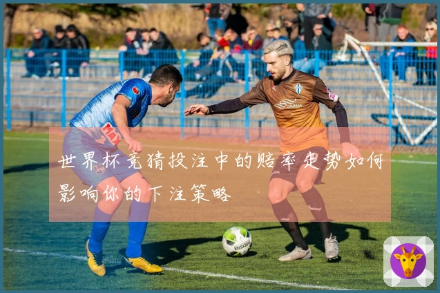 世界杯竞猜投注中的赔率走势如何影响你的下注策略