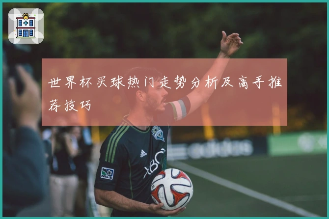 世界杯买球热门走势分析及高手推荐技巧