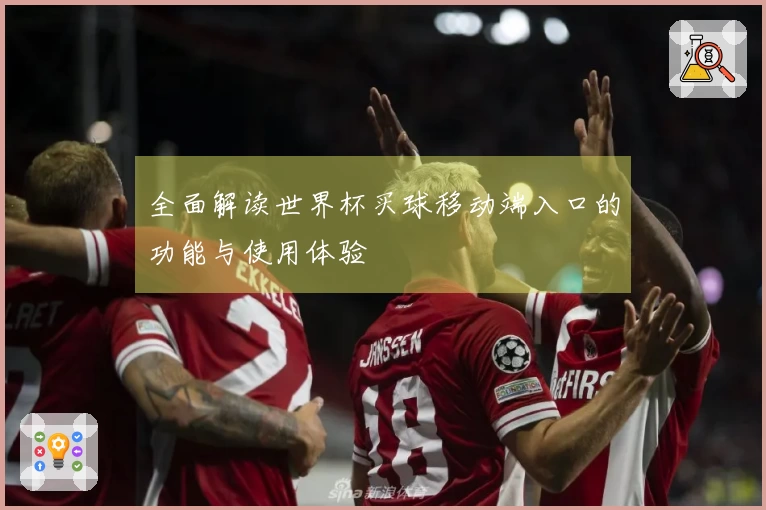 全面解读世界杯买球移动端入口的功能与使用体验