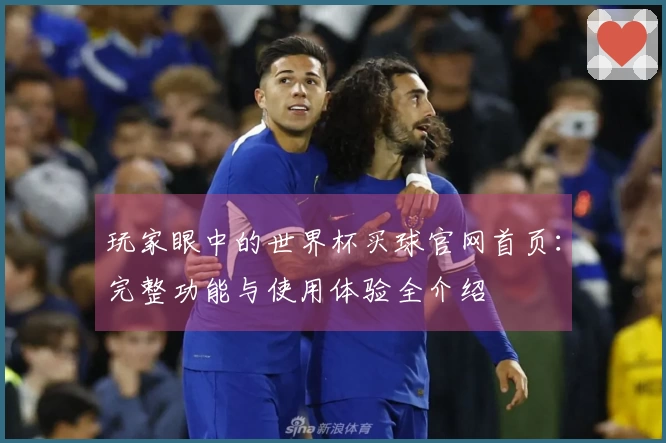 玩家眼中的世界杯买球官网首页：完整功能与使用体验全介绍